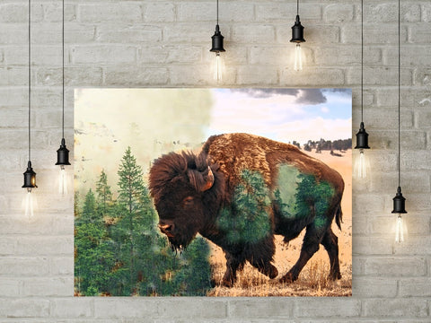 Buffalo
