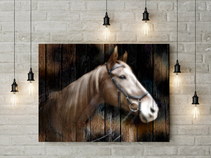 Horse ll